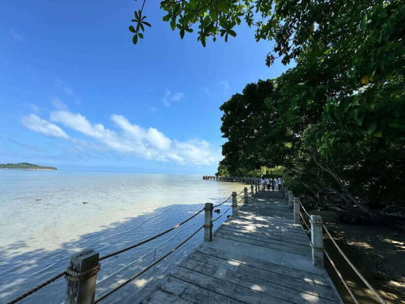 From Puerto Princesa: Tabon Cave Day Tour with lunch - The Sum Up