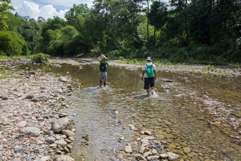 From Puerto Princesa: Trek to Batak Tribe Village - An In-Depth Look at the Trek to Batak Tribe Village