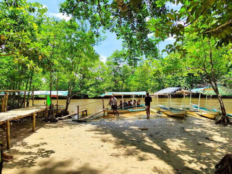 From Puerto Princesa: Underground River Guided Day Trip - A Closer Look at the Puerto Princesa Underground River Guided Day Trip