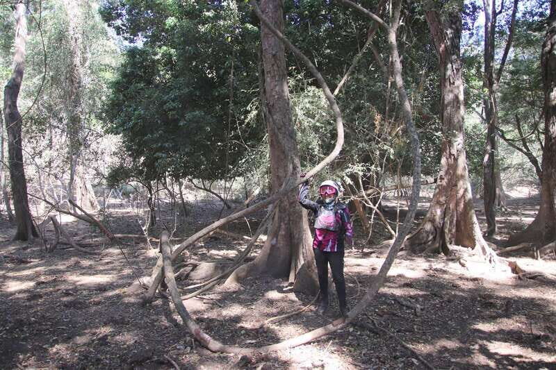 From Puerto Vallarta: 2-Hour Guided Sierra Vallejo Hike - Final Thoughts: Is This Tour Right for You?