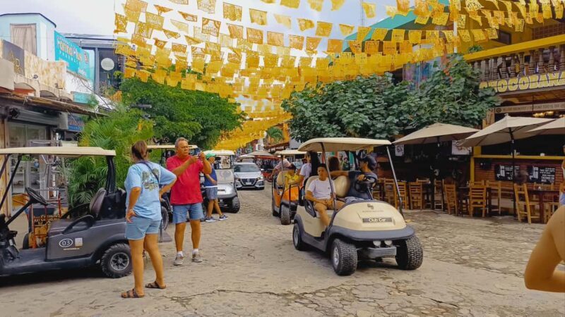 From Puerto Vallarta: San Pancho and Sayulita Cultural Tour - What’s Included and What’s Not
