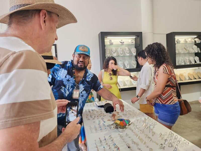 From Puerto Vallarta: San Pancho and Sayulita Cultural Tour - Practical Tips for the Day