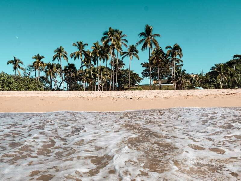 From Puerto Vallarta: San Pancho and Sayulita - Discovering San Pancho and Sayulita: A Full Breakdown