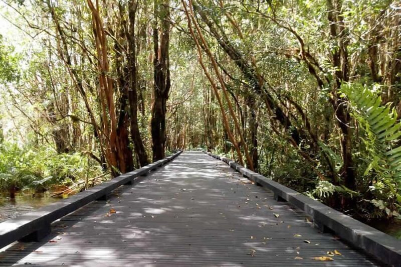 From Puerto Varas: Full Day to Termas del Sol & Cochamo Valley - From Puerto Varas: Full Day to Termas del Sol & Cochamo Valley