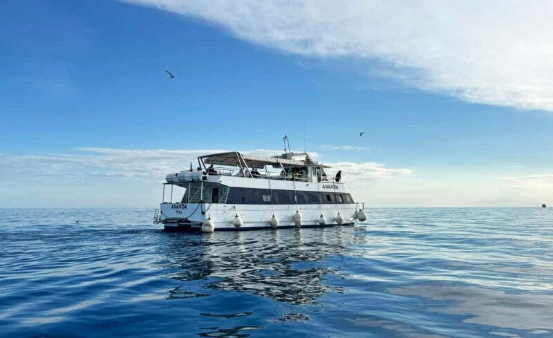 From Pula: Half-day NP Brijuni cruise with Lunch & Swimming - A Detailed Breakdown of the Experience
