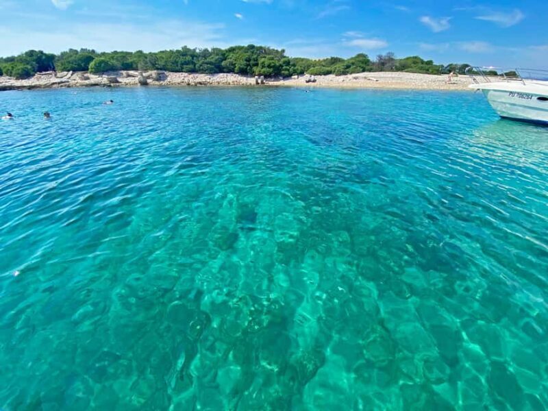 From Pula: Half-day NP Brijuni cruise with Lunch & Swimming - Authentic Experiences & Traveler Insights