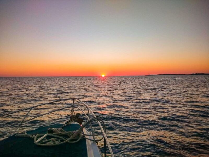 From Pula: Private Boat Tour and Brijuni National Park - The Sum Up