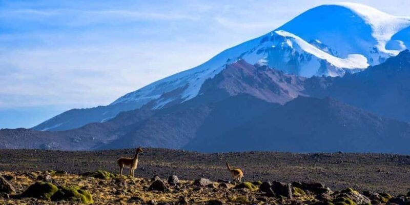 From Puno || 2-day Colca Canyon Tour ending in Arequipa || - Key Points