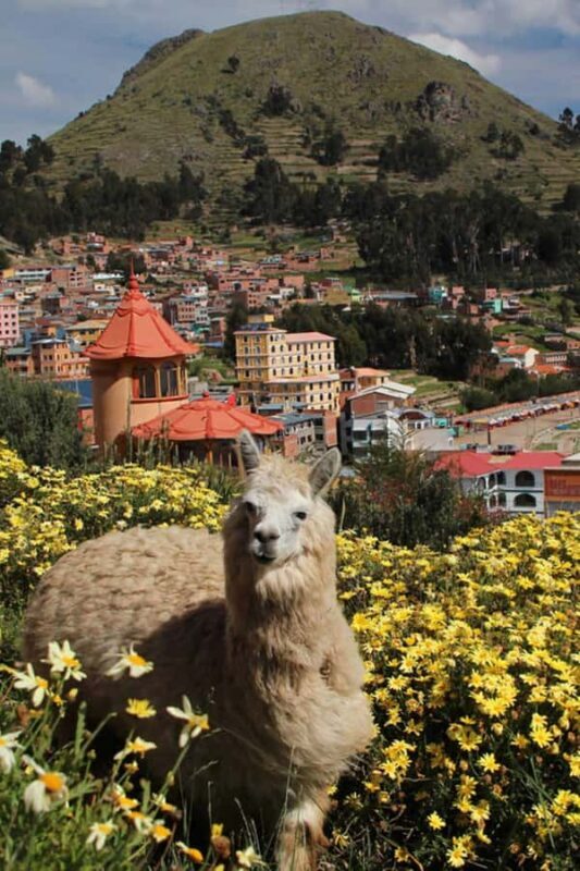 From Puno |3day excursion to La Paz and the Uyuni salt flats - A Deep Dive into the 3-Day Puno to Bolivia Tour