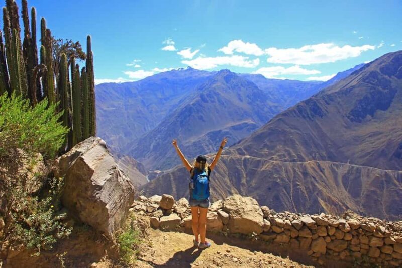 From Puno : Colca Canyon Discovery: 2-Day Journey - Who Should Book This Tour?
