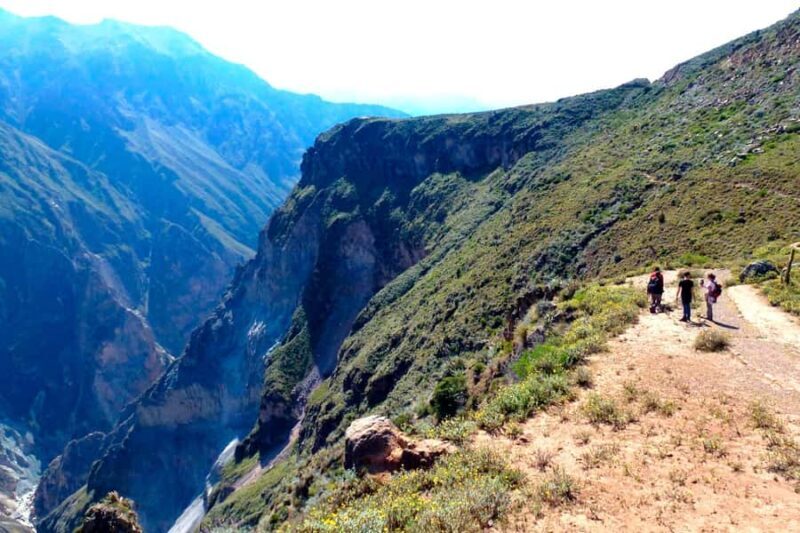 From Puno: Colca Valley Tour 2D with Transfer to Arequipa - From Puno: Colca Valley Tour 2D with Transfer to Arequipa — A Detailed Journey into Peru’s Natural Wonders