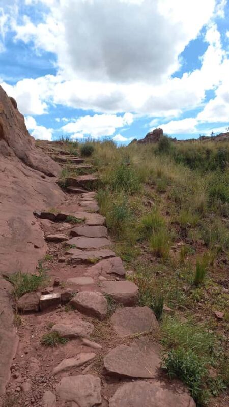 From Puno: Excursion to Chucuito, Molloco and Aramu Muru - From Puno: Excursion to Chucuito, Molloco, and Aramu Muru