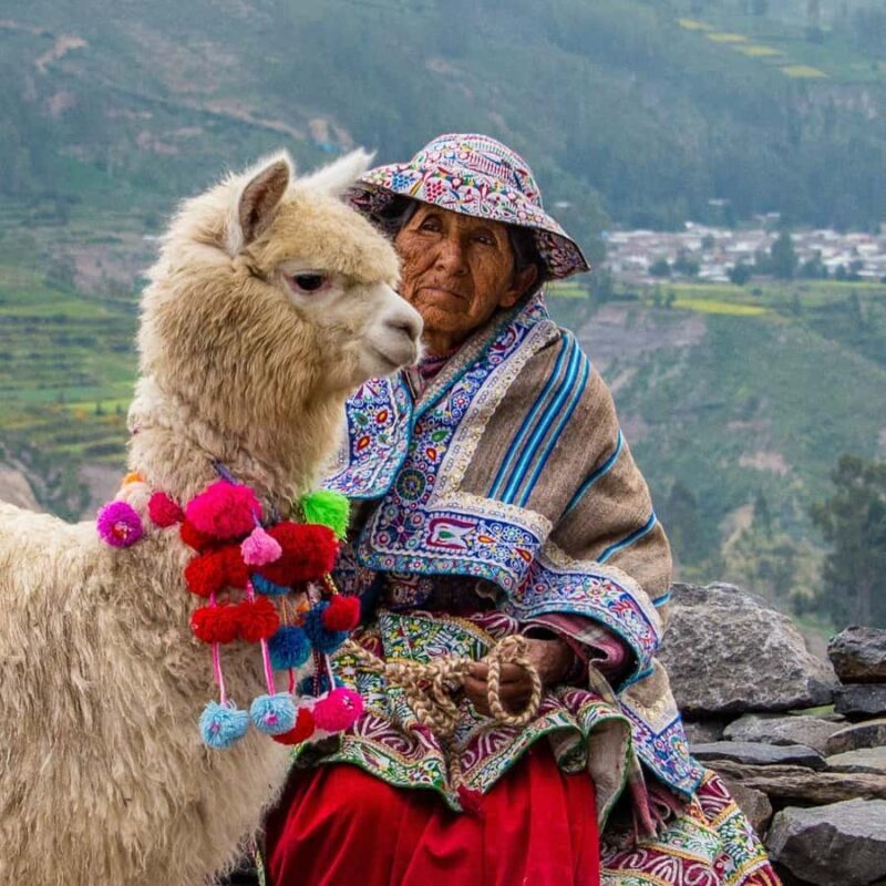 From Puno to Arequipa: 2 Days/1 Night Colca Canyon Tour - In-Depth Review of the Colca Canyon Tour