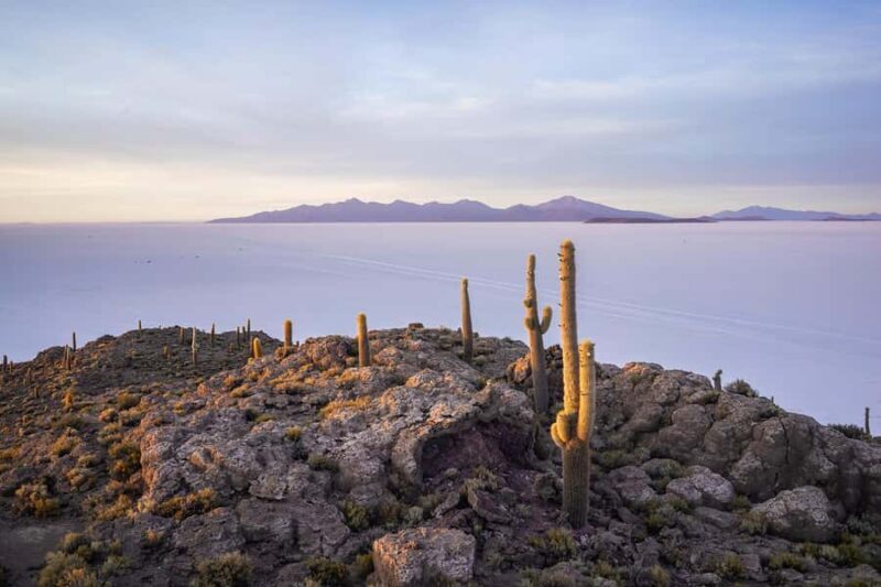From Puno:Two-Day,One-Night Discovery Tour to Salar de Uyuni - Key Points
