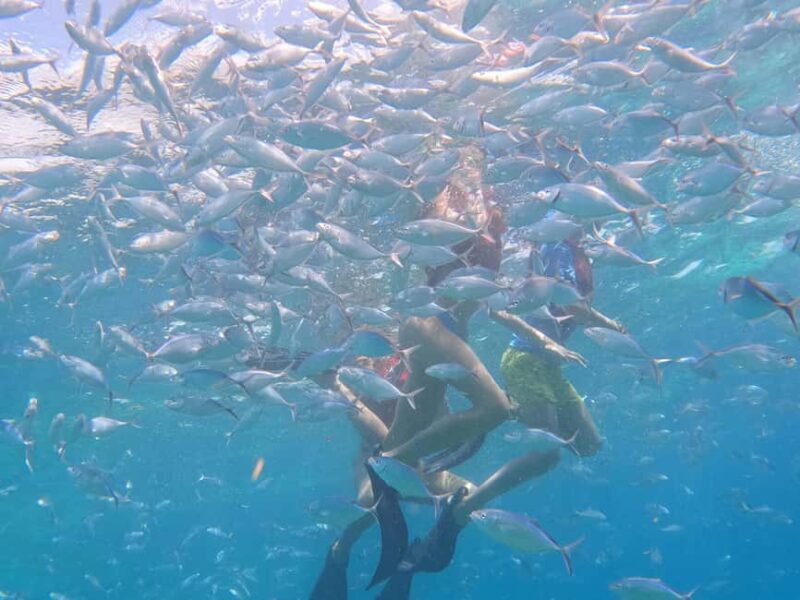 From Punta Cana: Catalina Island Swim, Sail & Snorkel - Frequently Asked Questions