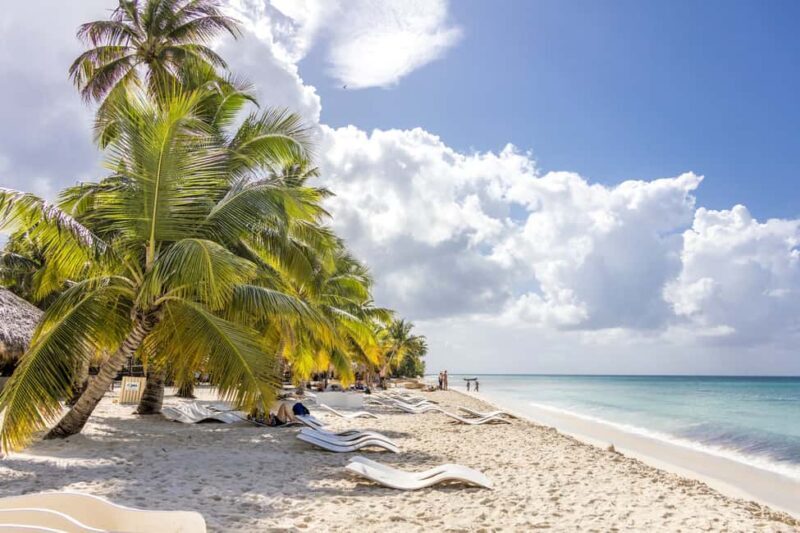 From Punta Cana: Catamaran Cruise to Saona Island with Lunch - Key Points