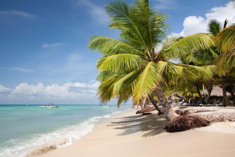 From Punta Cana: Catamaran Tour to Saona Island with Open Bar and Buffet - Why Travelers Keep Coming Back