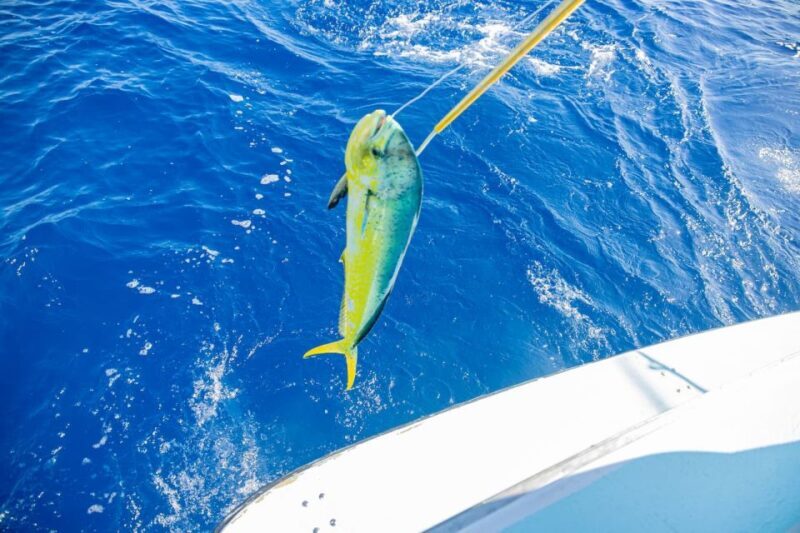 From Punta Cana: Deep Sea Fishing Tour by Boat with Drinks - The Sum Up