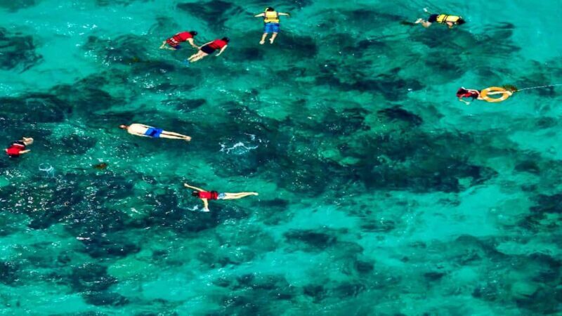 From Punta Cana: Exclusive Catalina Island Tour with Transportation and Lunch - The Details of the Tour Experience