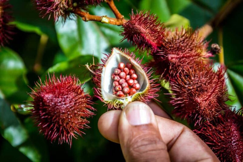 From Punta Cana: Full-Day Island Tour with Lunch - What the Reviews Say