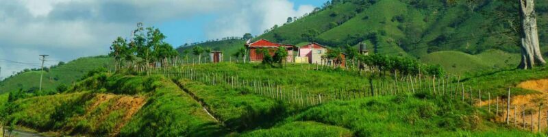 From Punta Cana: Higüey and Anamuya River Day Trip - Final Thoughts: The Real Dominican Experience