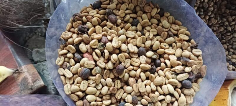 From Punta Cana: Higuey Expedition Cultural & Historic Tour - Final Thoughts