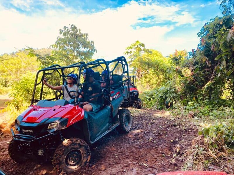 From Punta Cana: Jungle Buggy Adventure to Anamuya River - Key Points