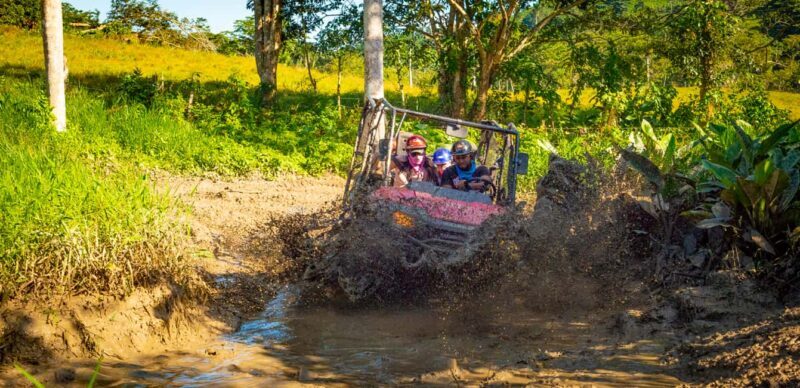 From Punta Cana: Jungle Buggy Adventure to Anamuya River - A Detailed Look at the Jungle Buggy Adventure