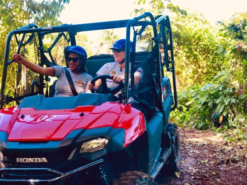 From Punta Cana: Jungle Buggy Adventure to Anamuya River - Final Thoughts