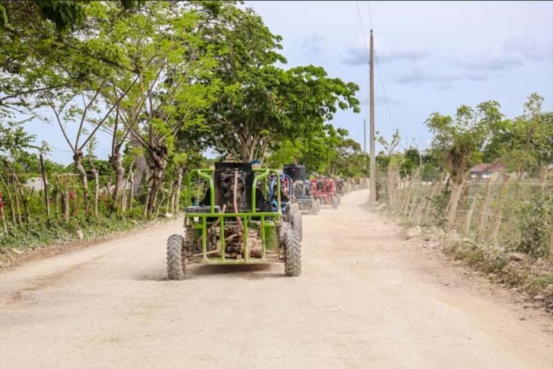 From Punta Cana or La Romana: Sugarcane Fields Buggy or Quad - From Punta Cana or La Romana: Sugarcane Fields Buggy or Quad
