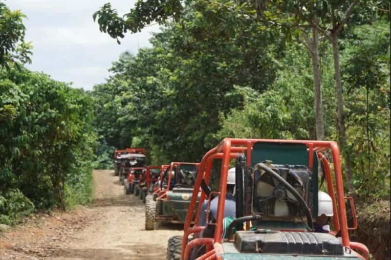 From Punta Cana or La Romana: Sugarcane Fields Buggy or Quad - Exploring the Tour in Detail
