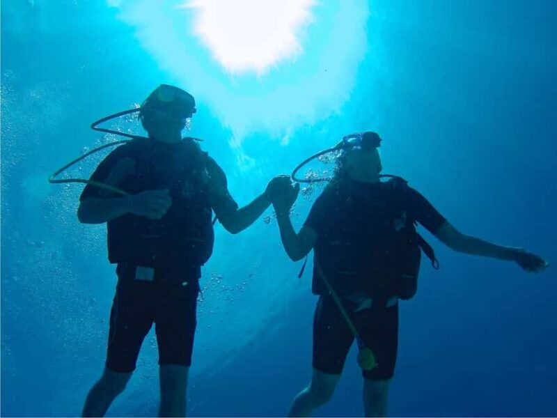 From Punta Cana: Private Catamaran Catalina Island Full-Day - What Makes This Tour Stand Out?