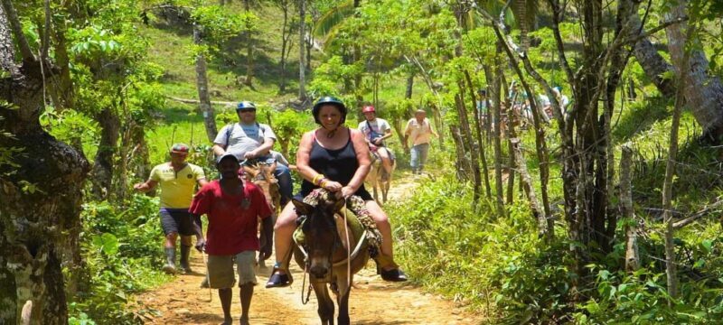 From Punta Cana: Samana Full Day Trip by Bus and Boat - Final Thoughts: Is This Tour for You?