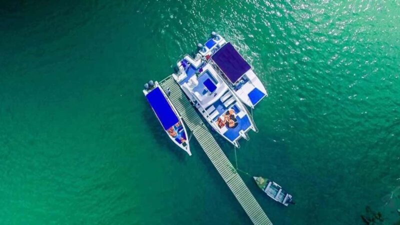 From Punta Cana: Samaná Whale Watching & Bacardi Island Tour - FAQ