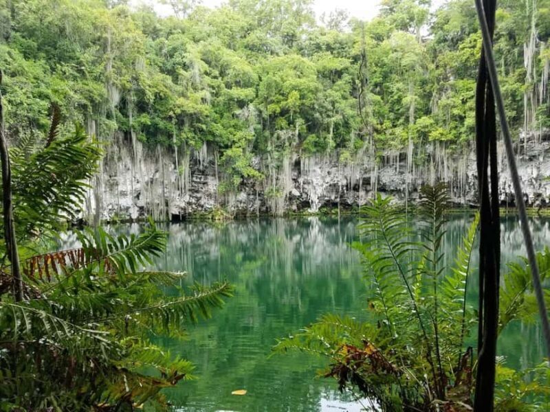 From Punta Cana: Santo Domingo Full-Day Tour with Lunch - Authentic Reviews and Insights