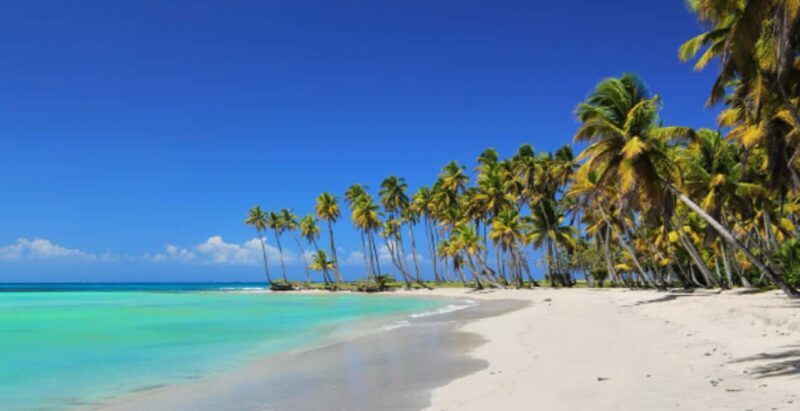 From Punta Cana: Saona Island Boat Trip with Buffet - Who Will Love This Tour?