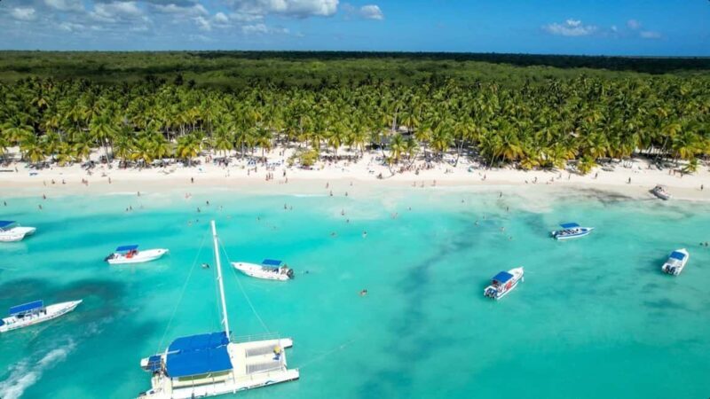 From Punta Cana: Saona Island Day Trip with Buffet Lunch - The Itinerary: A Closer Look