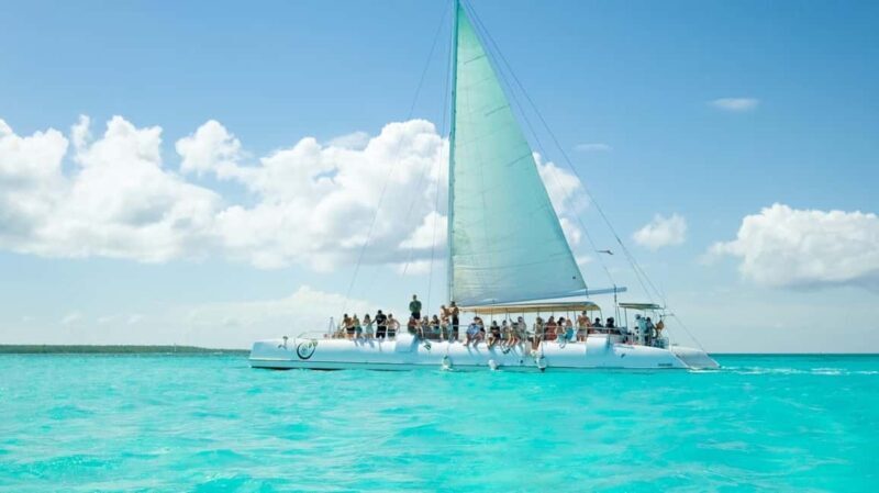 From Punta Cana: Saona Island Day Trip with Buffet Lunch - Who Should Consider This Tour?