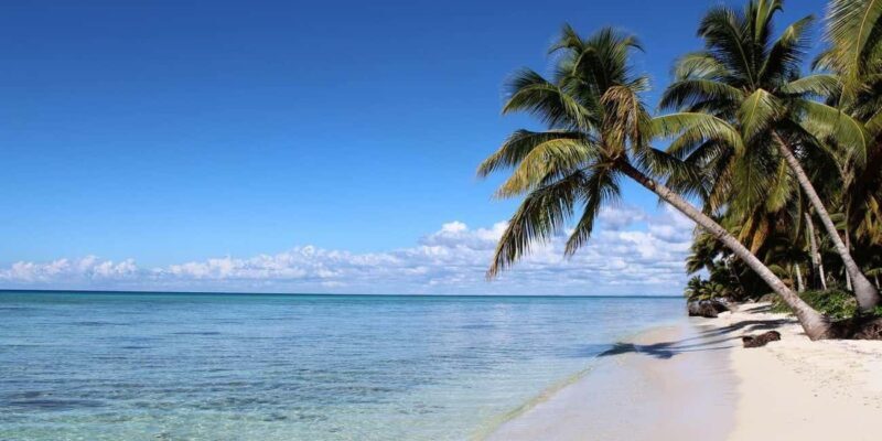 From Punta Cana: Saona Island Day Trip with Lunch and Drinks - Key Points