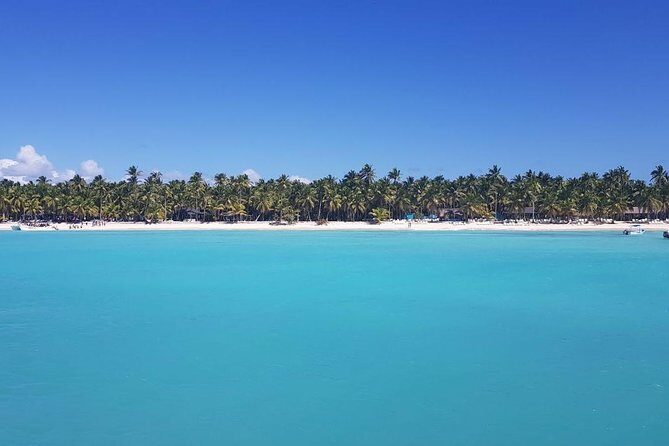 From Punta Cana: Saona Island Full Day For Small Group Catamaran - Who Should Consider This Tour?