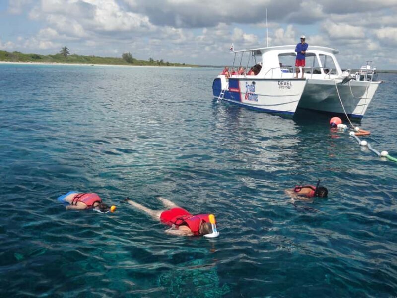 From Punta Cana: Saona Island Full-Day Tour with Lunch - Who Should Consider This Tour?