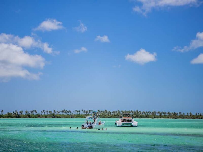 From Punta Cana: Saona Island Private Guided Catamaran Tour - The Sum Up: Who Will Love This Tour?