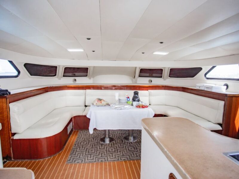 From Punta Cana: Saona Island Private Guided Catamaran Tour - FAQs