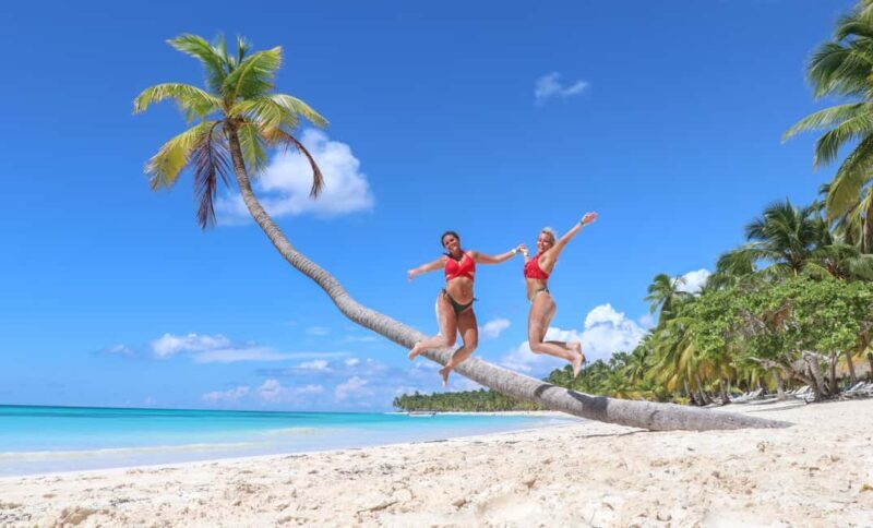 From Punta Cana: Saona Island Trip via Speedboat with Lunch - A detailed look at the Saona Island trip