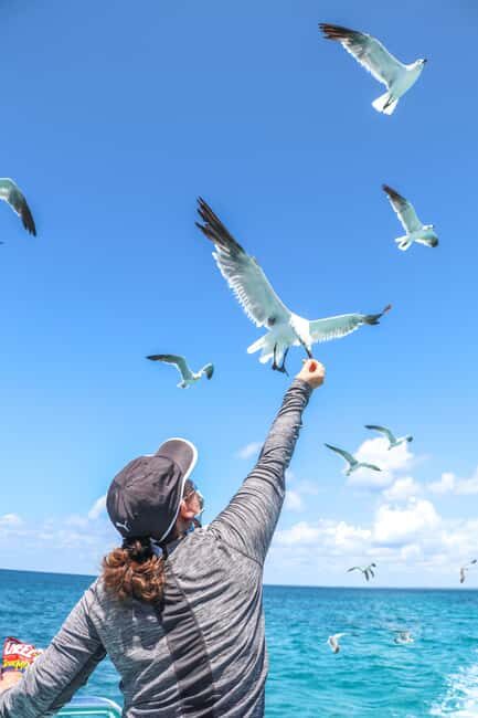 From Punta Cana: Saona Island Trip via Speedboat with Lunch - FAQs