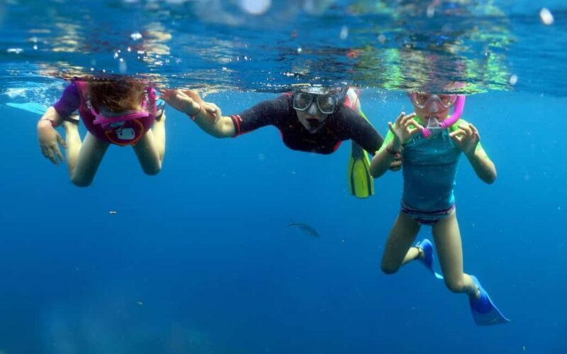 From Punta Cana: Small Group Catalina Island Snorkeling Tour - Who Should Consider This Tour?