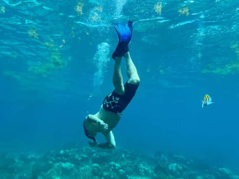 From Punta Cana: Small Group Catalina Island Snorkeling Tour - FAQ (Frequently Asked Questions)