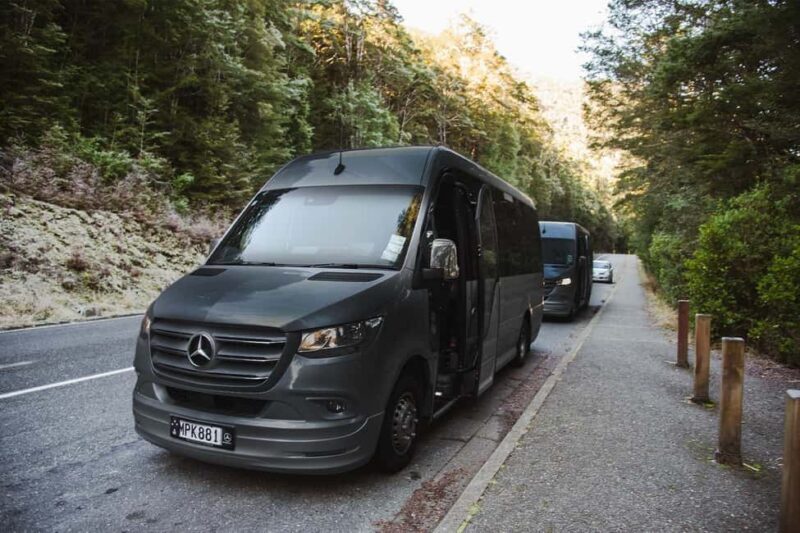 From Queenstown: Milford Sound Business Class with Cruise - The Sum Up