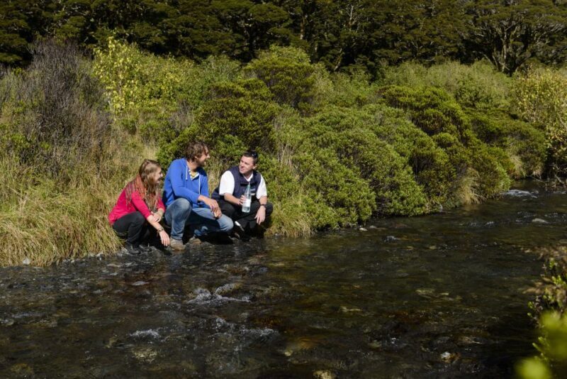 From Queenstown: Milford Sound Cruise & Scenic Coach Tour - Practical Tips for Travelers