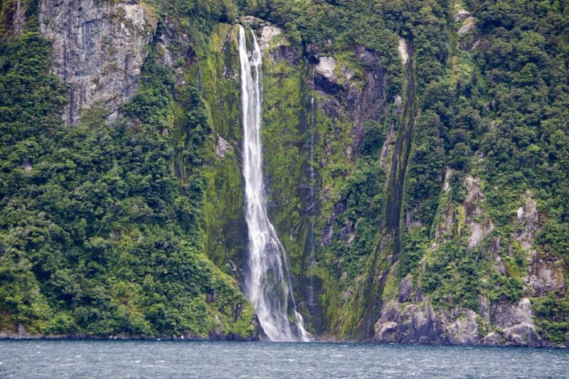 From Queenstown: Milford Sound Full-Day Trip by Plane & Boat - Authentic Travelers’ Perspectives: What People Are Saying